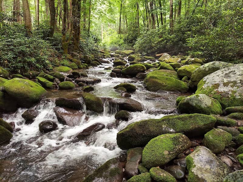 Great Smoky Mountains National Park - Image 1