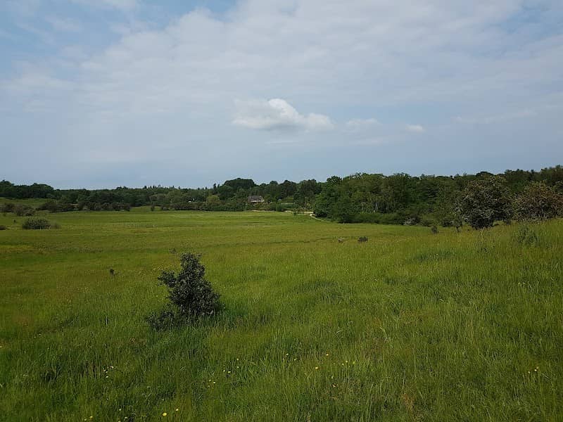 Dumpedalen - Image 1
