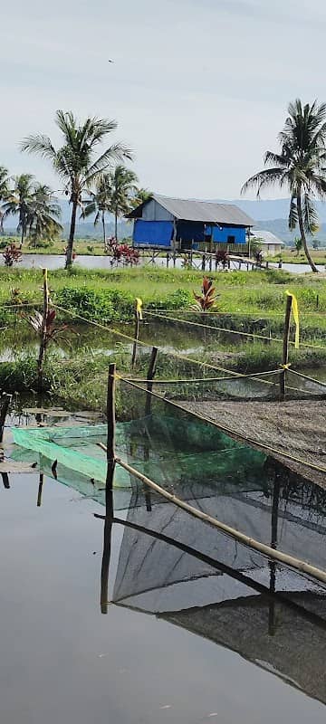PONDOK KEL@PA - Image 1