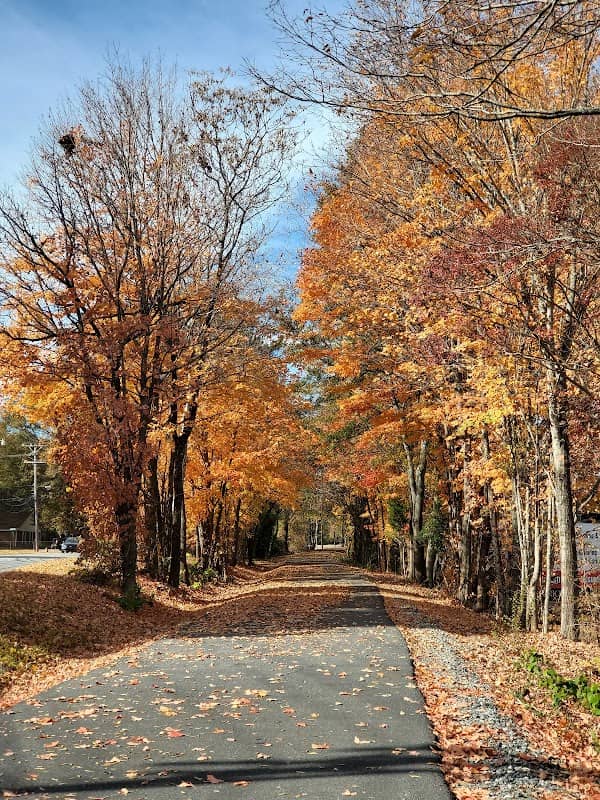 Thermal Belt Rail Trail Parking - Pine St. - Image 2