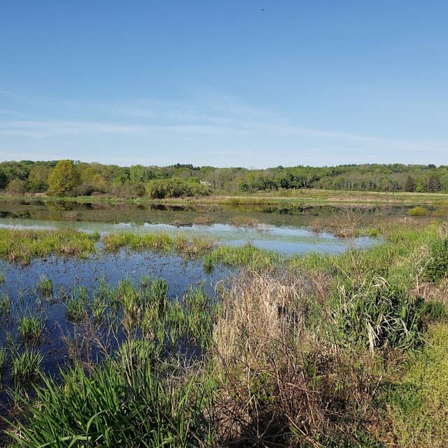 Mill Creek Wildlife Sanctuary - Image 1