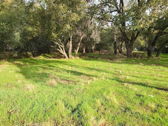 Woodside Oaks/Olivine Dr. Open Space Site - Image 3