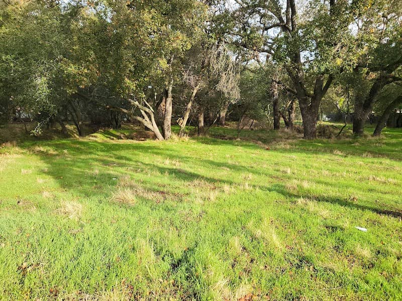 Woodside Oaks/Olivine Dr. Open Space Site - Image 2