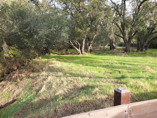 Woodside Oaks/Olivine Dr. Open Space Site - Image 1