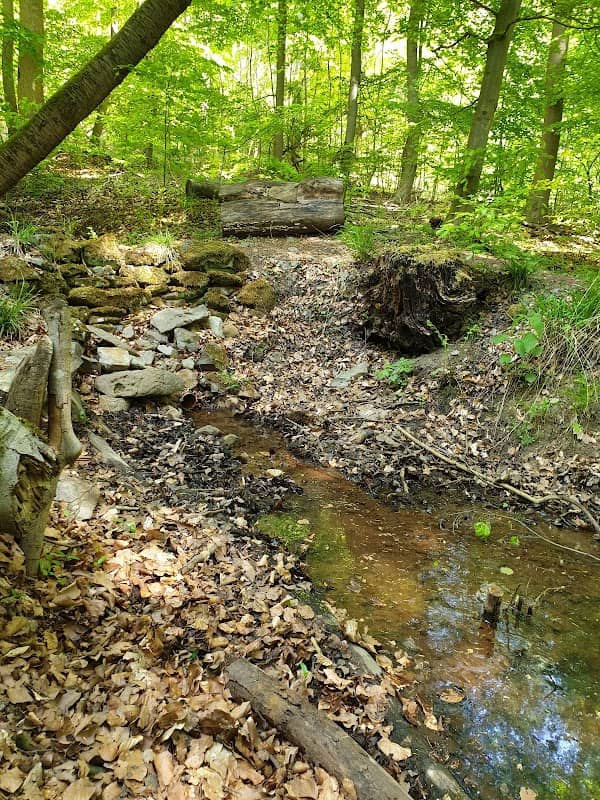 Baunaquelle - Image 1