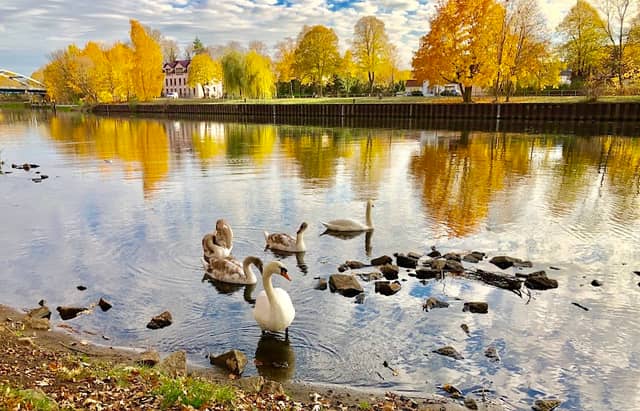Blick auf die Spree - Image 2