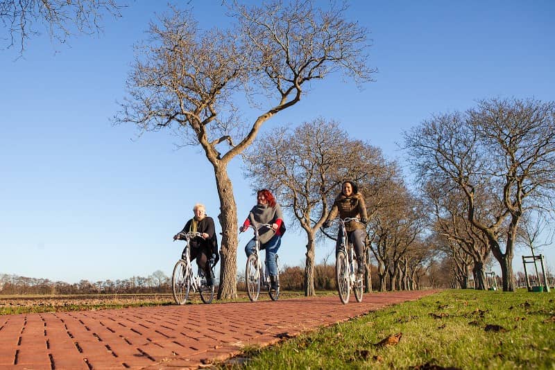 Park Lingezegen - Image 1