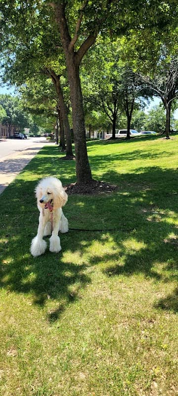 Summit Park - Image 2