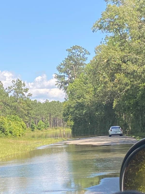 Big Thicket RV Park - Image 1