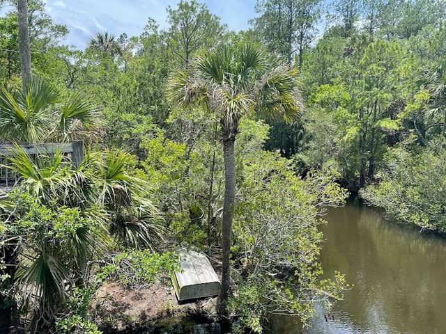 Grayson's Island - Image 1