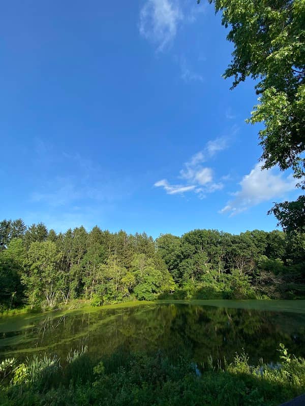 Metro Parks Serving Summit - Image 1