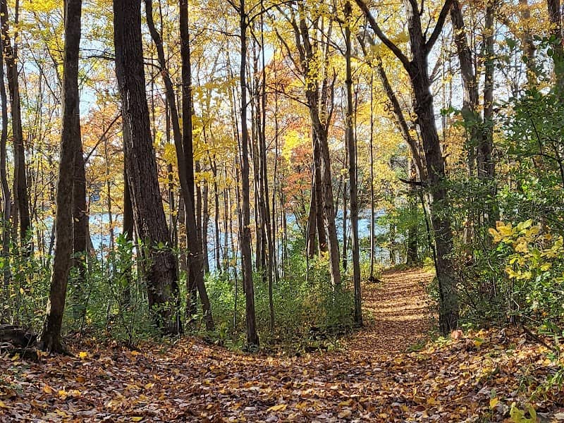 York Park - Image 1