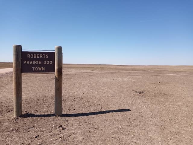 Roberts Prairie Dog Town - Image 1