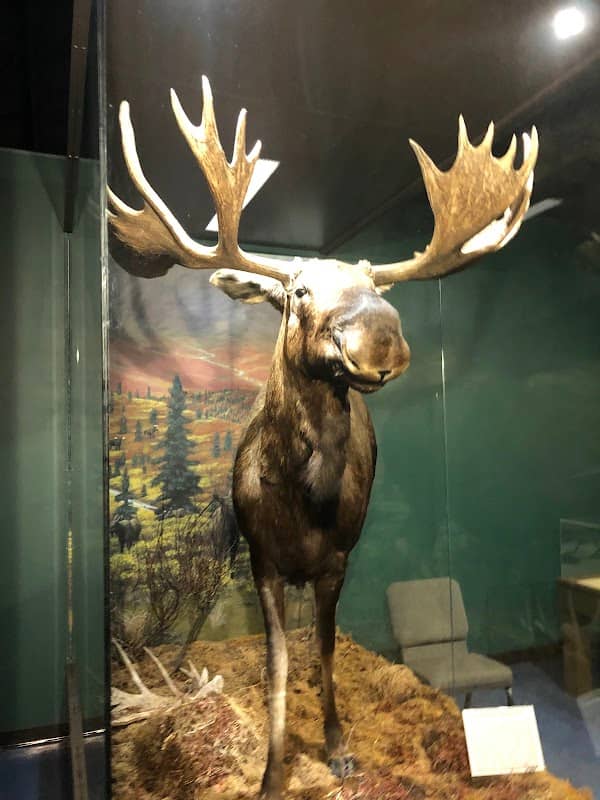 Montgomery Zoo & Mann Wildlife Learning Museum - Image 2