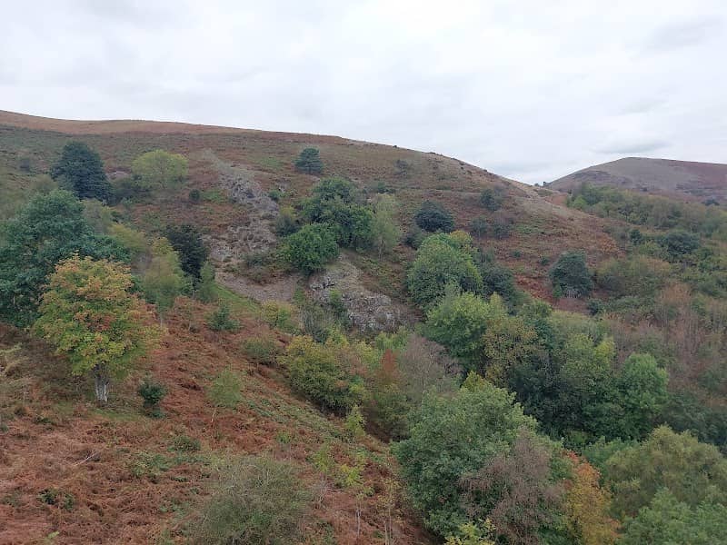 Poets Seat - Image 3