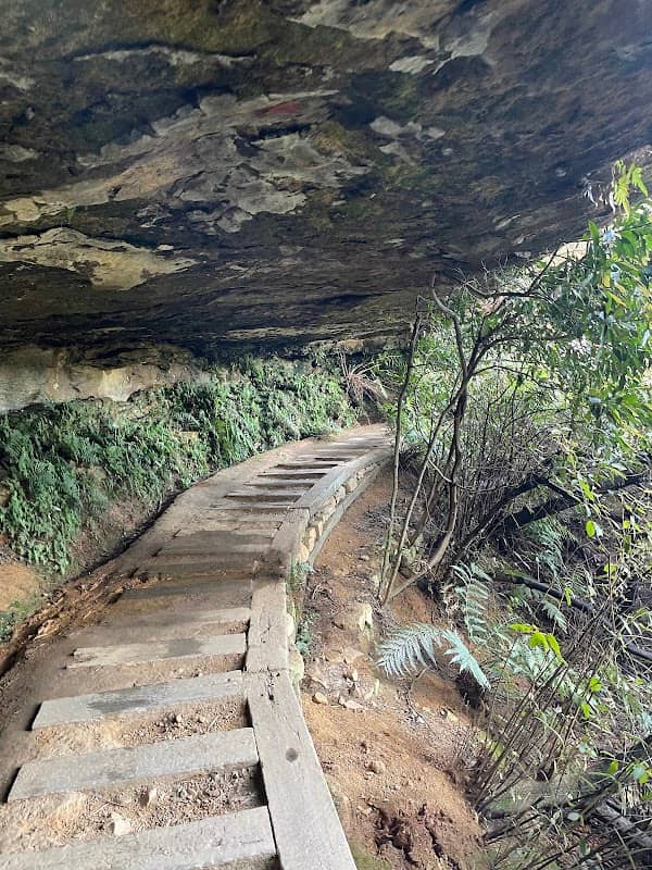 Princes Rock walking track - Image 3