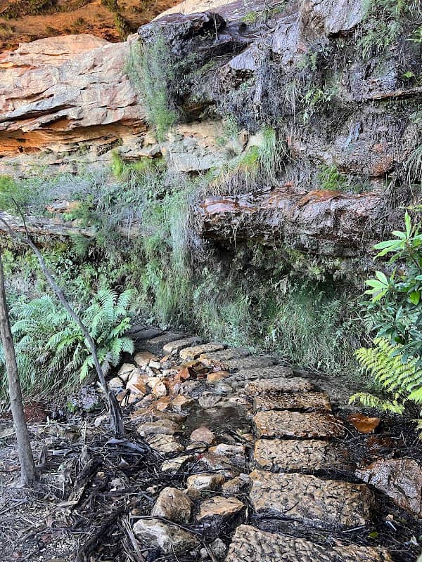 Princes Rock walking track - Image 2