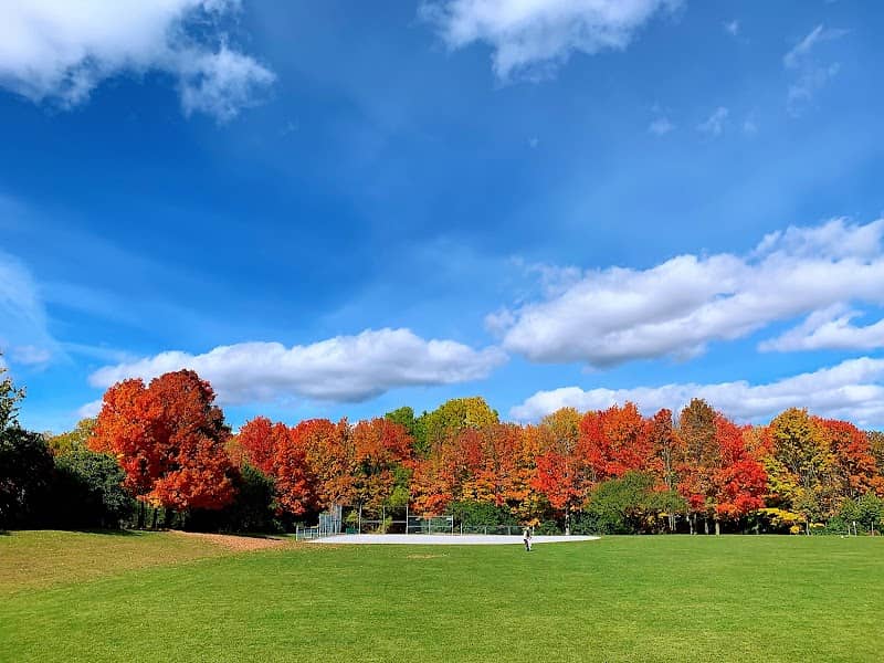 Marilyn Powell Park - Image 2