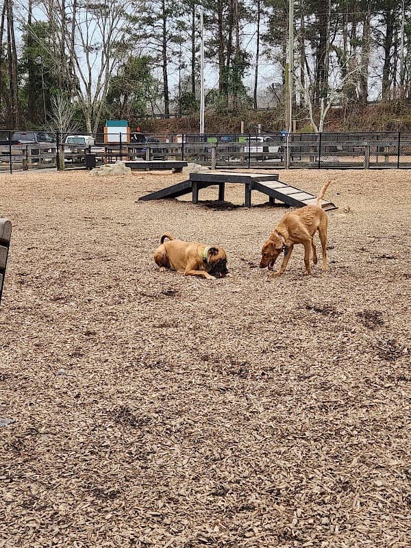 Woodstock Dog Park - Image 2