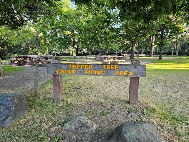 Peppertree Group Area | Vasona County Park - Image 1