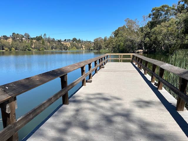 Peppertree Group Area | Vasona County Park - Image 2