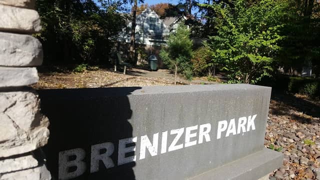 Brenizer Park - Image 3