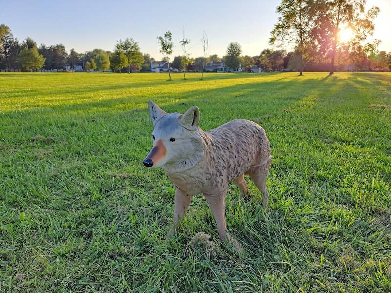Werling Park - Image 2