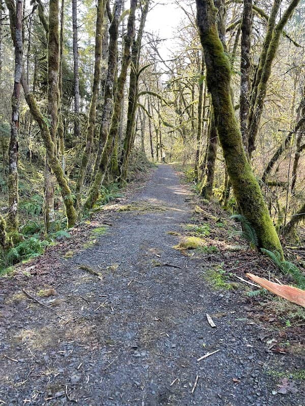 Baker Creek Bridge Trail - Image 1
