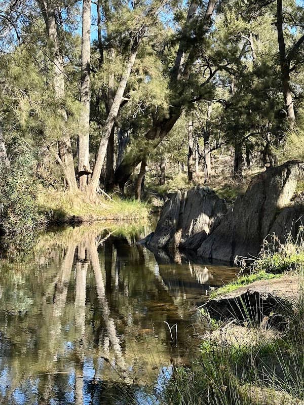 Historic Water Race walking track - Image 1
