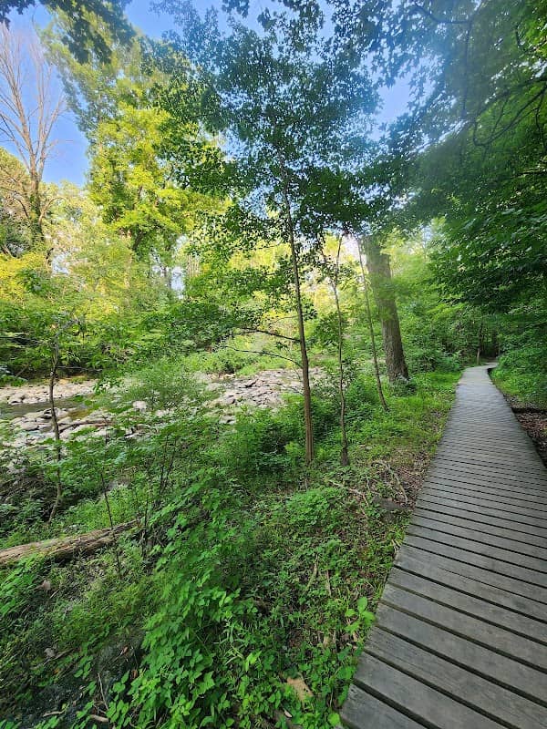 Rittenhouse Park - Image 2