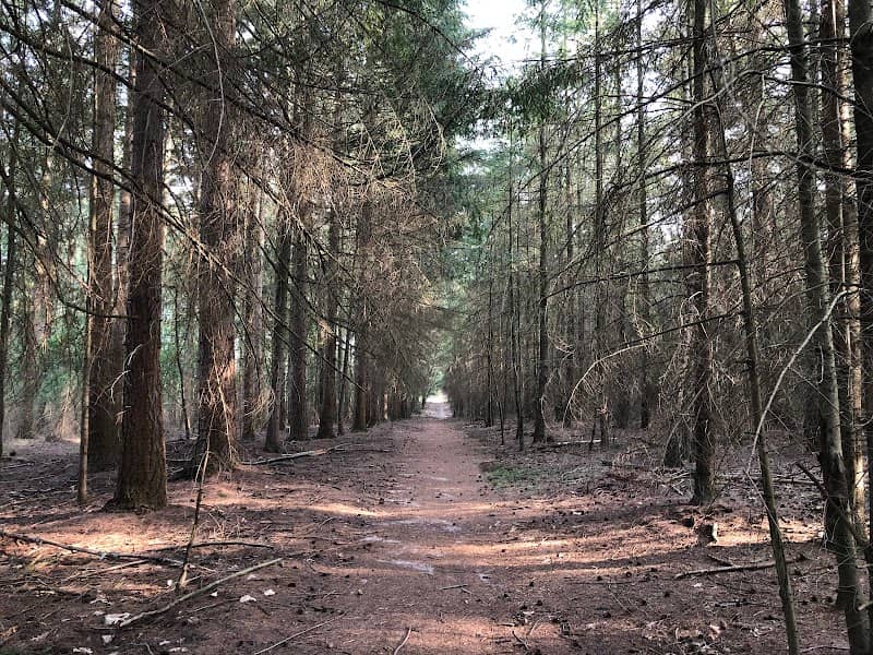 Lierderbos - Image 1