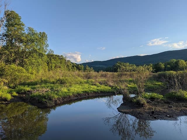 Norman and Selma Greenberg Conservation Reserve - Image 1