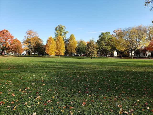 Wellington Park - Image 1