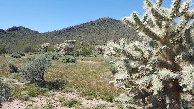 Los Morteros Conservation Area - Image 1