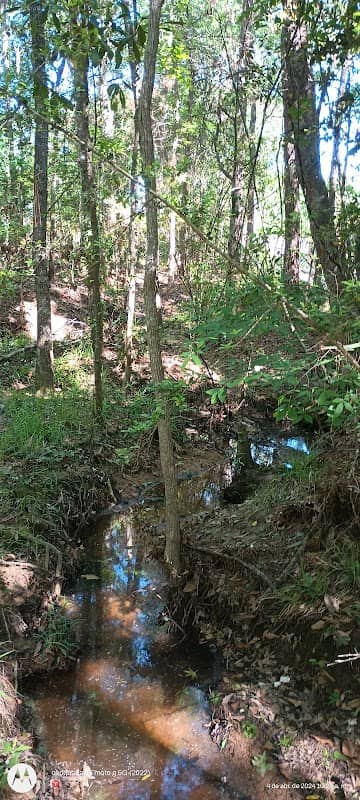 Crighton Woods Park - Image 2