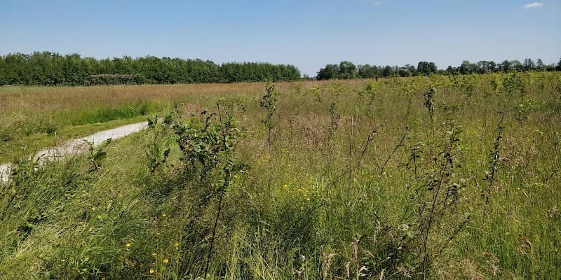 De Groene Dorpsploats - Image 1