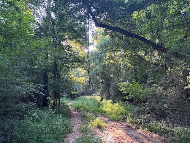 Twin Cedars Children’s Home/Pig Trail - Image 1