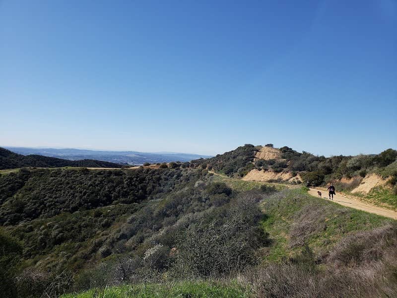 Claremont Wilderness Park, 5 Mile Loop Trail - Image 5