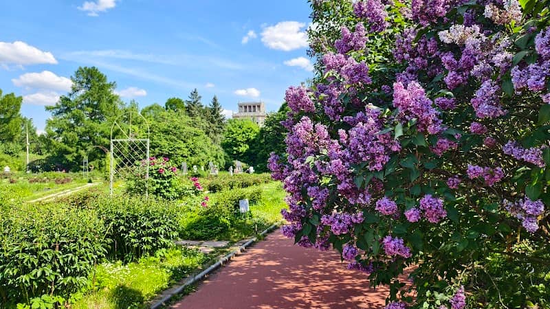 Botanical Garden - Image 1