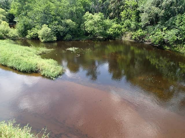 Little Econlockhatchee River - Image 2