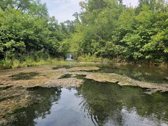 Buffalo Springs - Image 2
