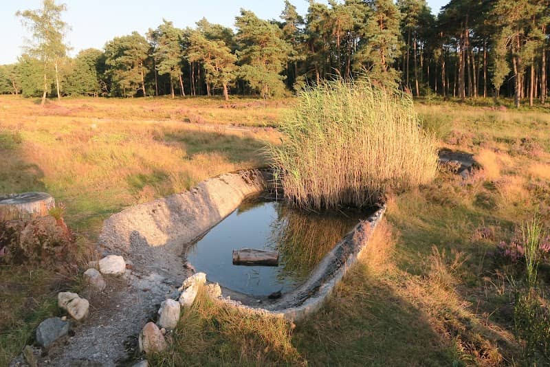 Noorderheide - Image 1