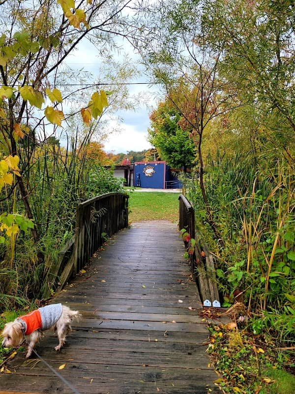 Penfold Park - Image 2