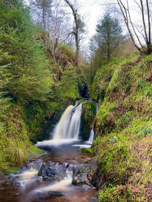 Gortin Glen Forest Park - Image 2
