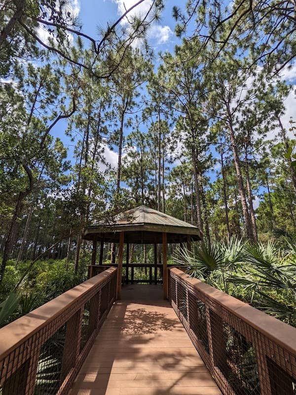 Helene Klein Pineland Preserve Parking - Image 3