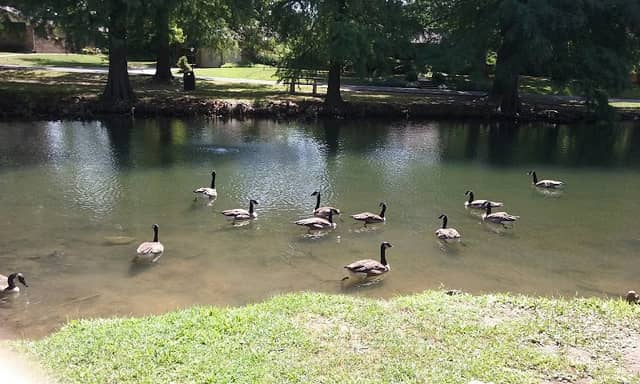 Palmer Park - Image 1