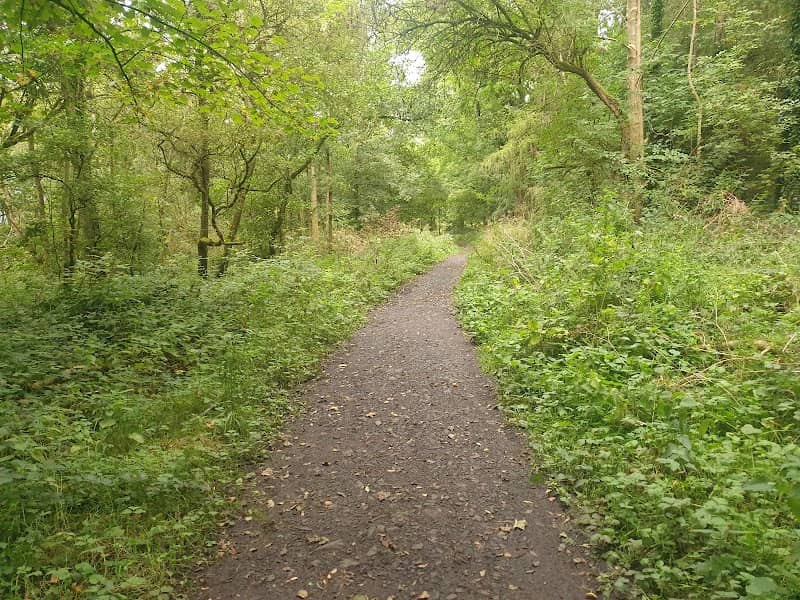 Rea's Wood - Image 1