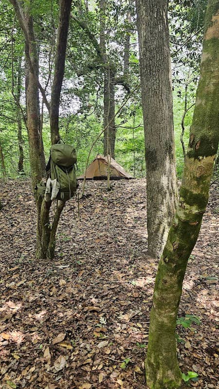 Black creek wilderness trail - Image 2