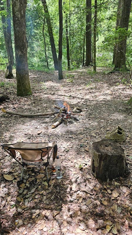 Black creek wilderness trail - Image 1