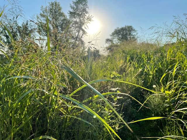 Sullivan Nature Sanctuary - Image 2